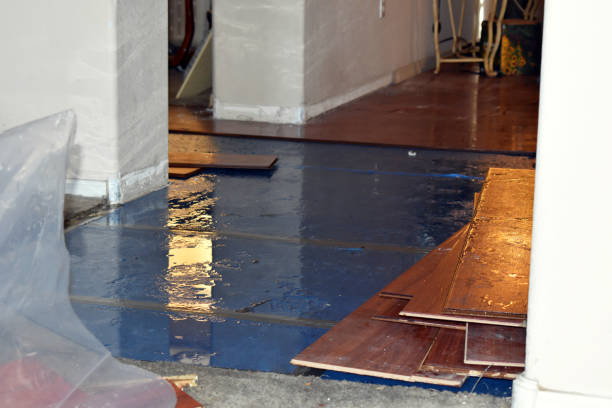 Professional Burst Pipe Cleanup technician working in Clarksburg, WV